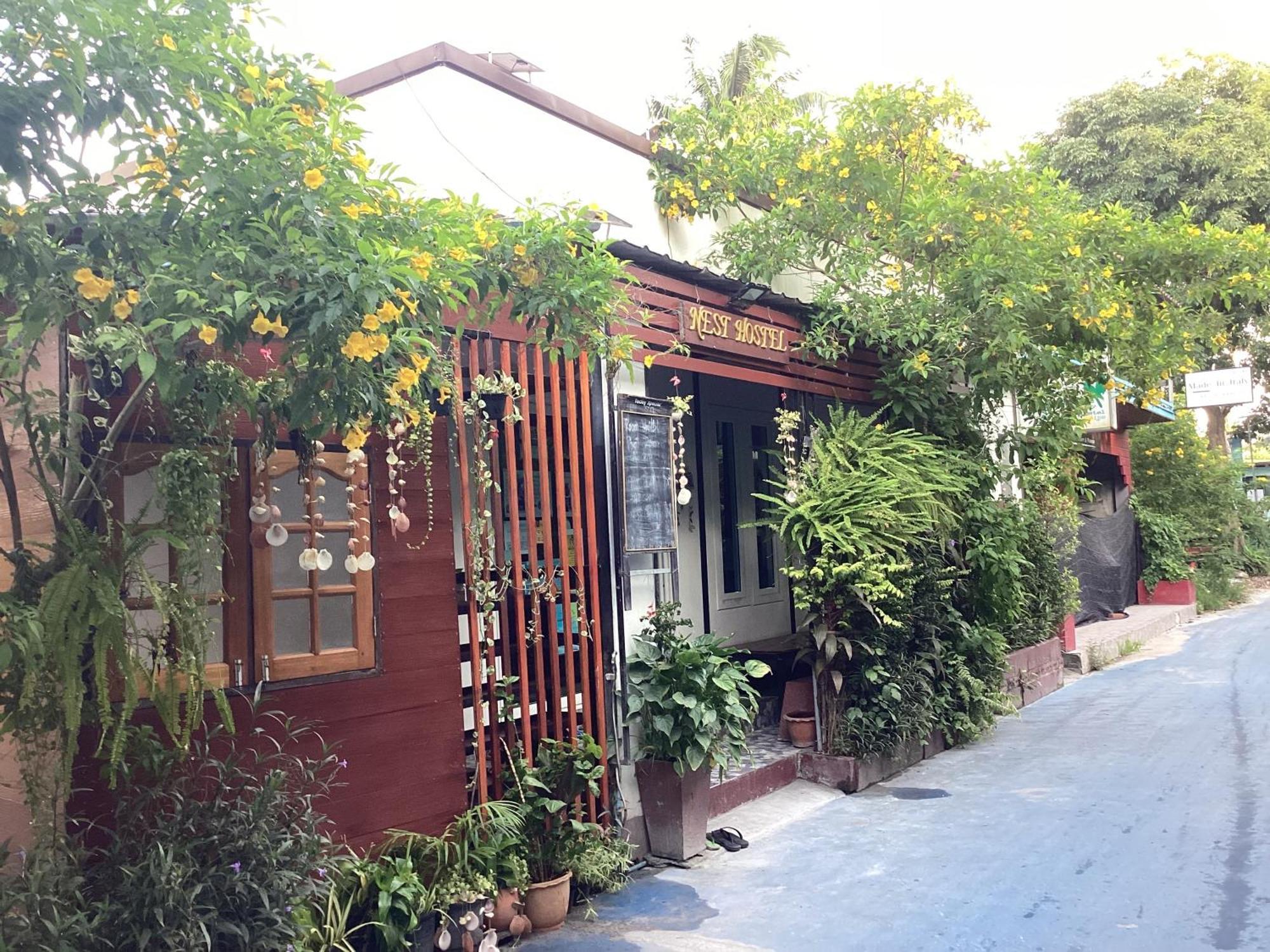 Nest Hostel Lipe 外观 照片