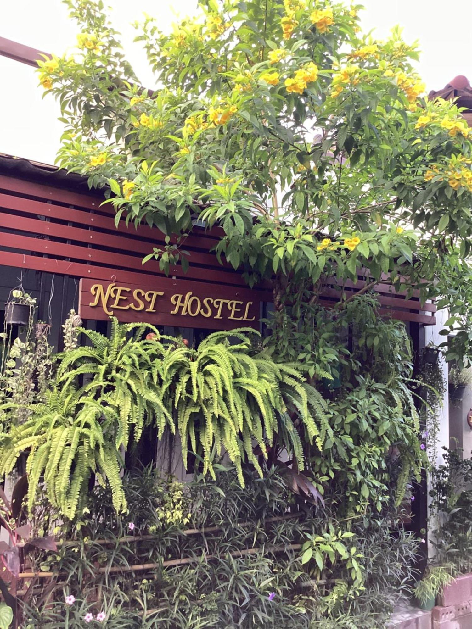 Nest Hostel Lipe 外观 照片