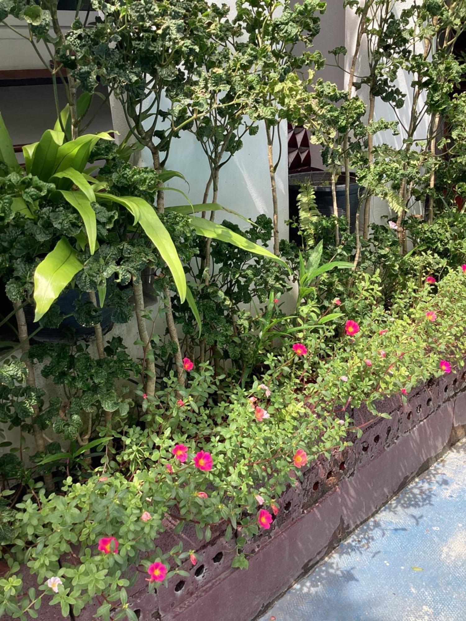 Nest Hostel Lipe 外观 照片