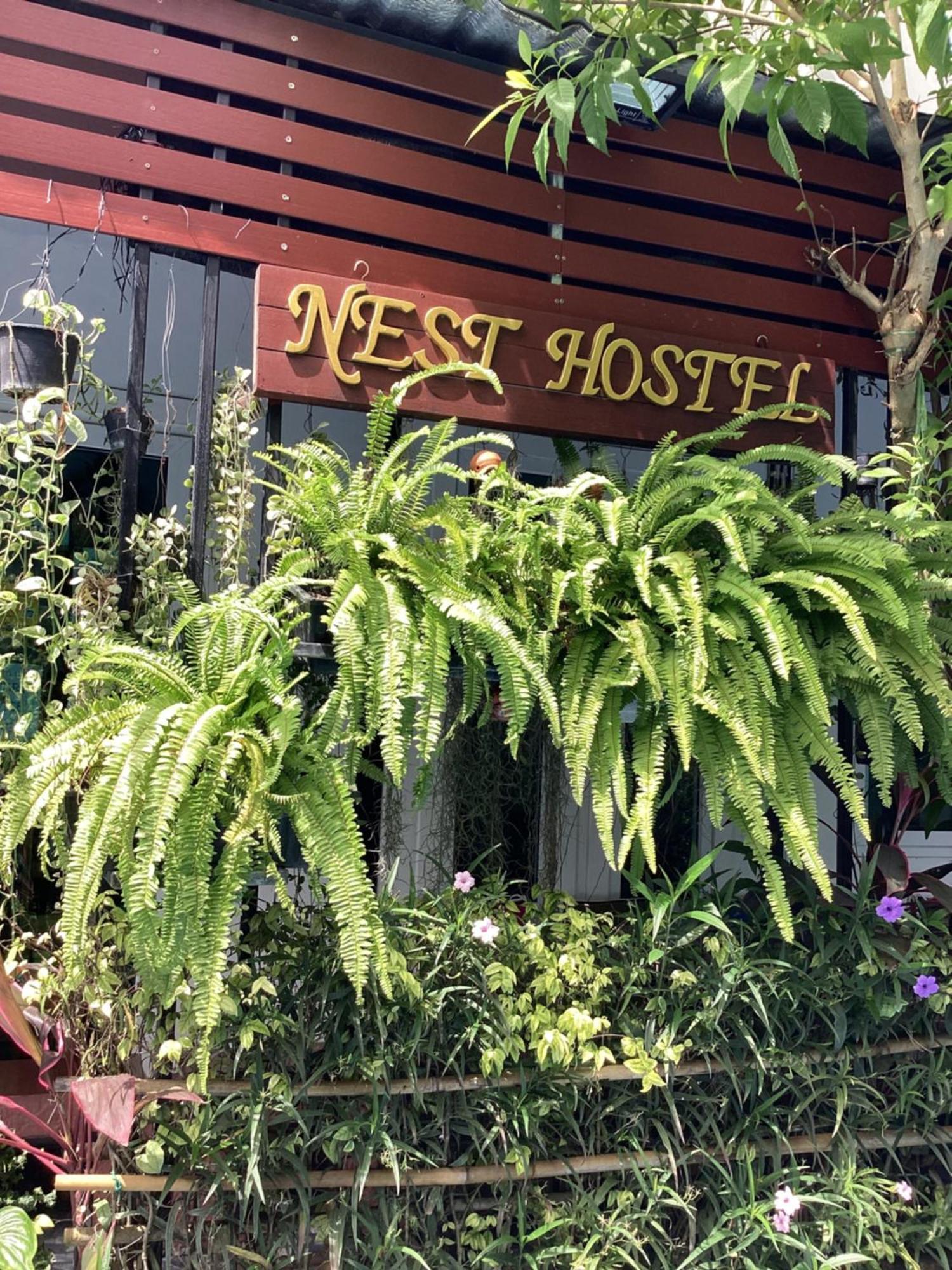 Nest Hostel Lipe 外观 照片